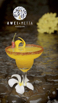 Mango Bev 3.jpg
