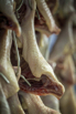 Flair_2024_02815.jpg