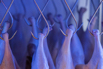 Flair_2024_02851.jpg