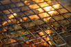 Flair_2024_02976.jpg