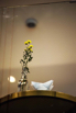 AweiMettaHotel_2023_00026.jpg