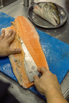 Flair_2024_00080.jpg