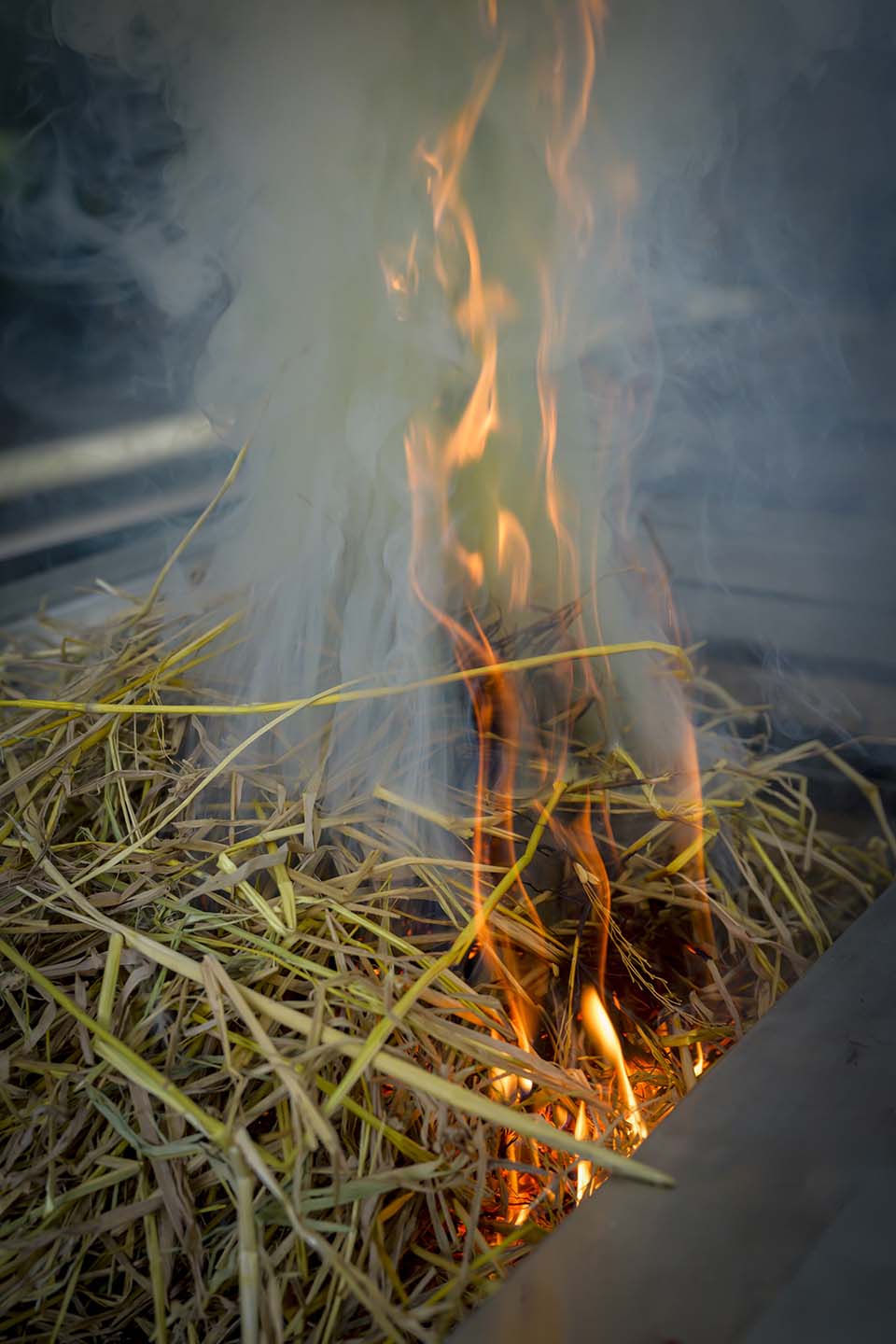 Flair_2024_00292.jpg