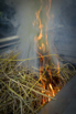Flair_2024_00292.jpg