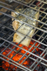 Flair_2024_00406.jpg