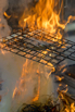 Flair_2024_00460.jpg