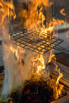 Flair_2024_00463.jpg