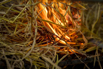 Flair_2024_00782.jpg