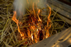 Flair_2024_00789.jpg