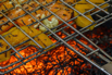 Flair_2024_00898.jpg