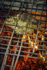 Flair_2024_01022.jpg