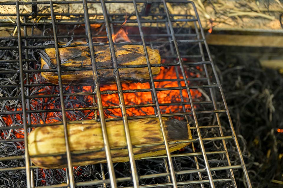 Flair_2024_01110.jpg