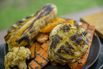 Flair_2024_01115.jpg