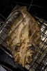 Flair_2024_02464.jpg
