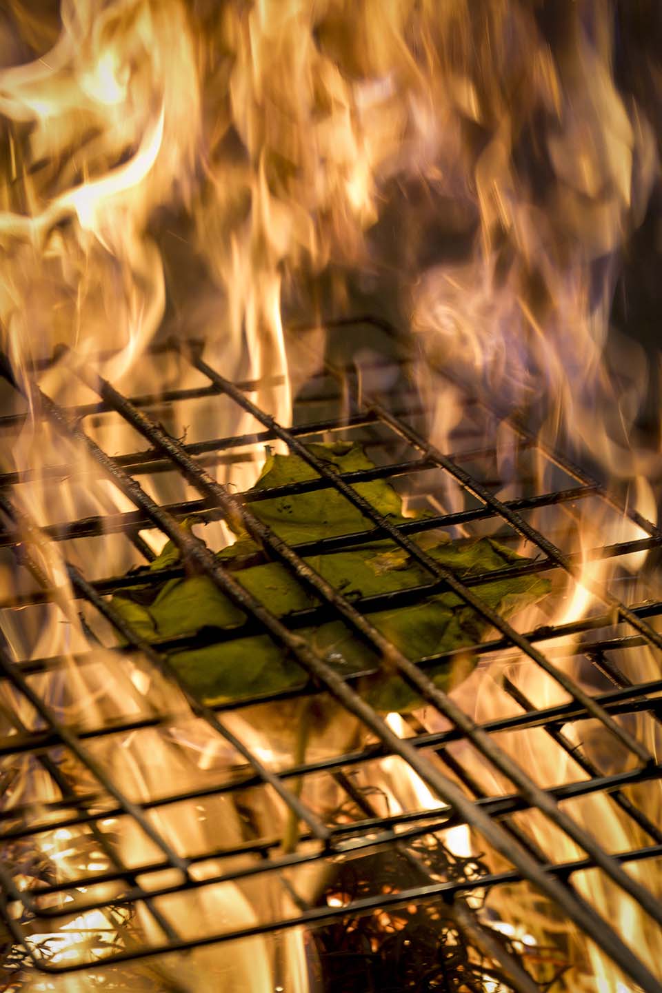 Flair_2024_02622.jpg