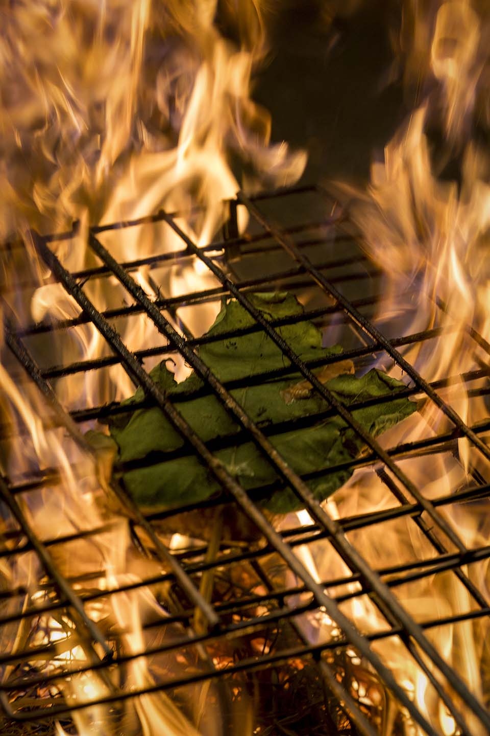Flair_2024_02624.jpg