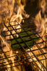 Flair_2024_02624.jpg
