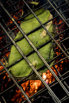 Flair_2024_02713.jpg