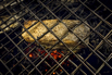 Flair_2024_02726.jpg