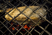 Flair_2024_02733.jpg