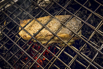 Flair_2024_02746.jpg