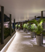 Memories_AweiMetta_2019_00243.jpg