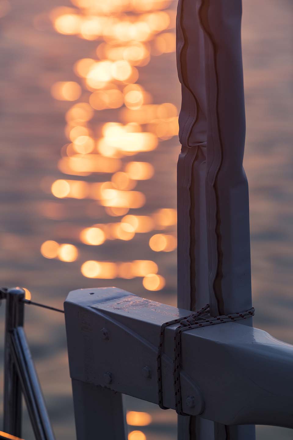 Meta_IV_2019_00510.jpg