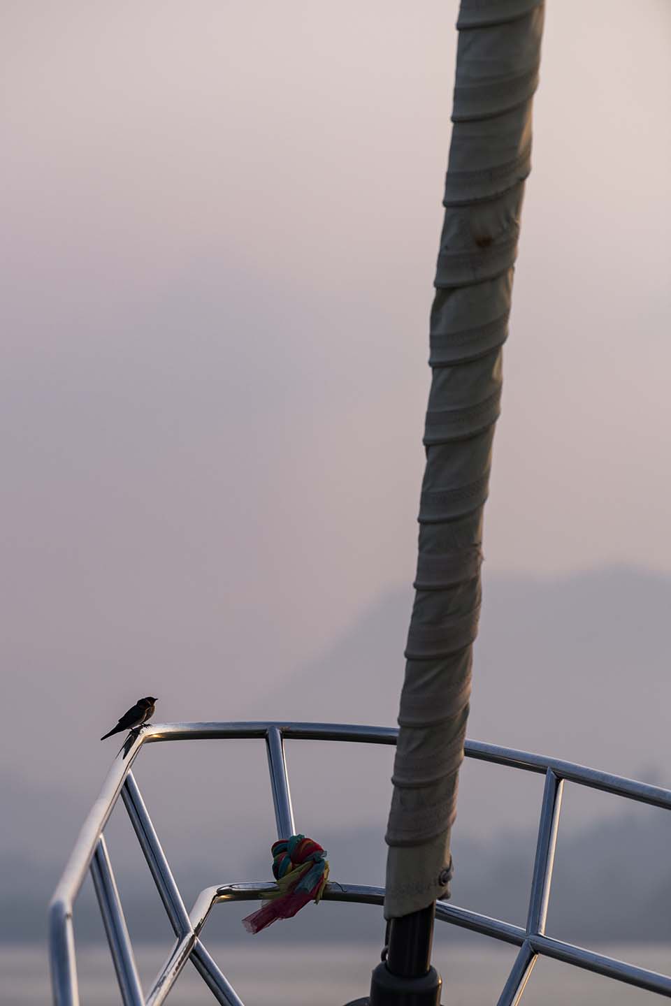 Meta_IV_2019_00534.jpg