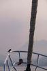 Meta_IV_2019_00534.jpg