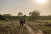 YSH_2024_00384.jpg