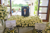 Mark_Tippetts_2024_0095.jpg