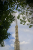 Mark_Tippetts_2024_0848.jpg