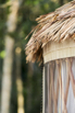 Awei_Pila_2019_00430.jpg