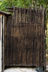 Awei_Pila_2019_00438.jpg