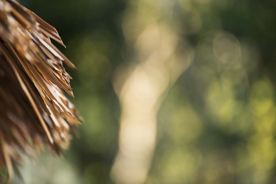 Awei_Pila_2019_00453.jpg