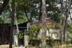 Awei_Pila_2019_00581.jpg