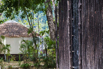 Awei_Pila_2019_00583.jpg