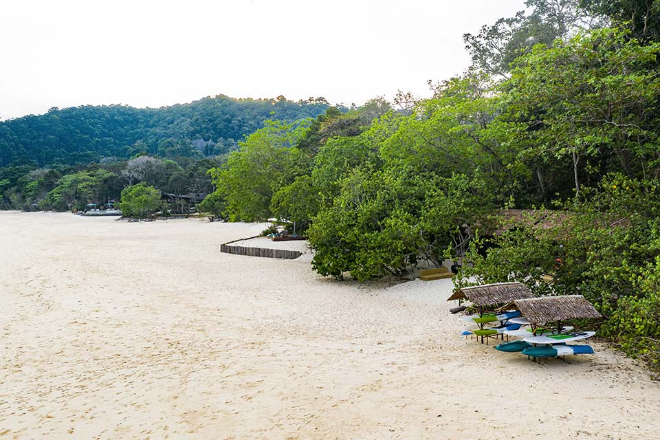 Awei_Pila_2019_00910.jpg