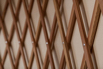 Awei_Pila_2019_00424.jpg