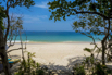 Awei_Pila_2019_01004.jpg