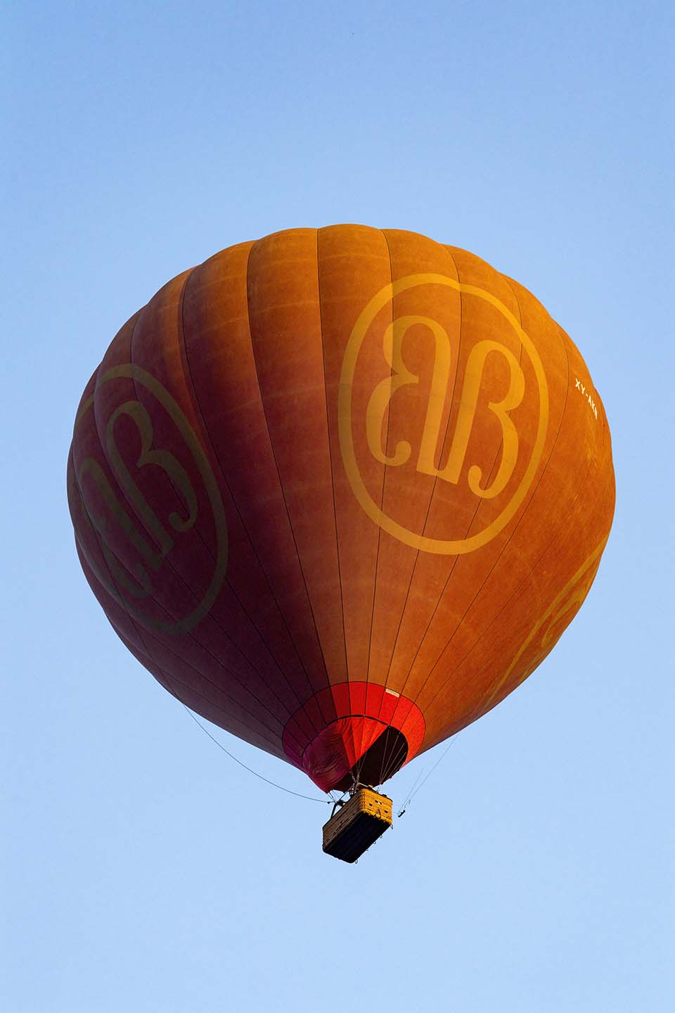YPO_2019_05273.jpg