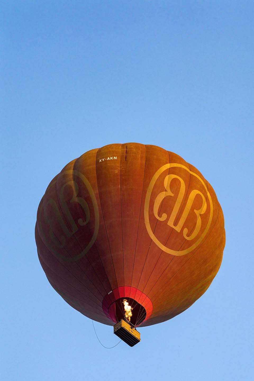 YPO_2019_05287.jpg