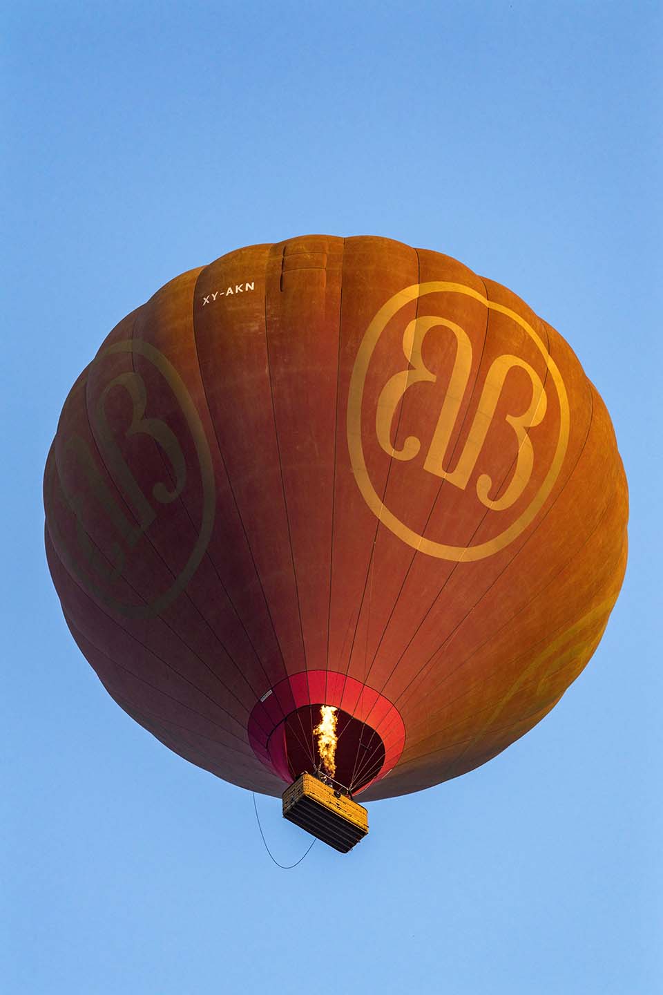 YPO_2019_05288.jpg
