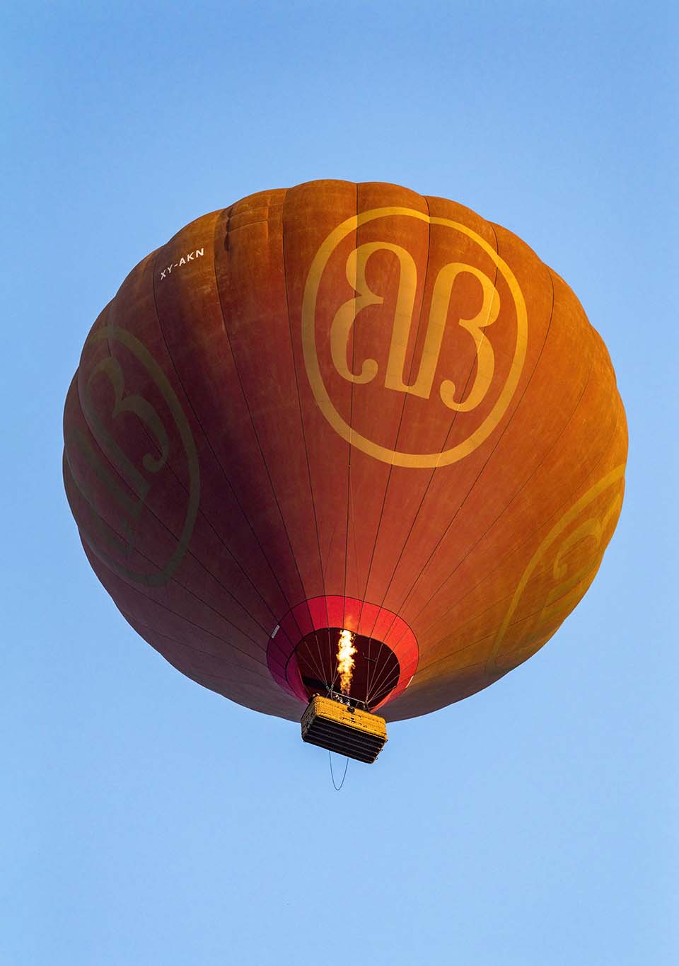 YPO_2019_05289.jpg