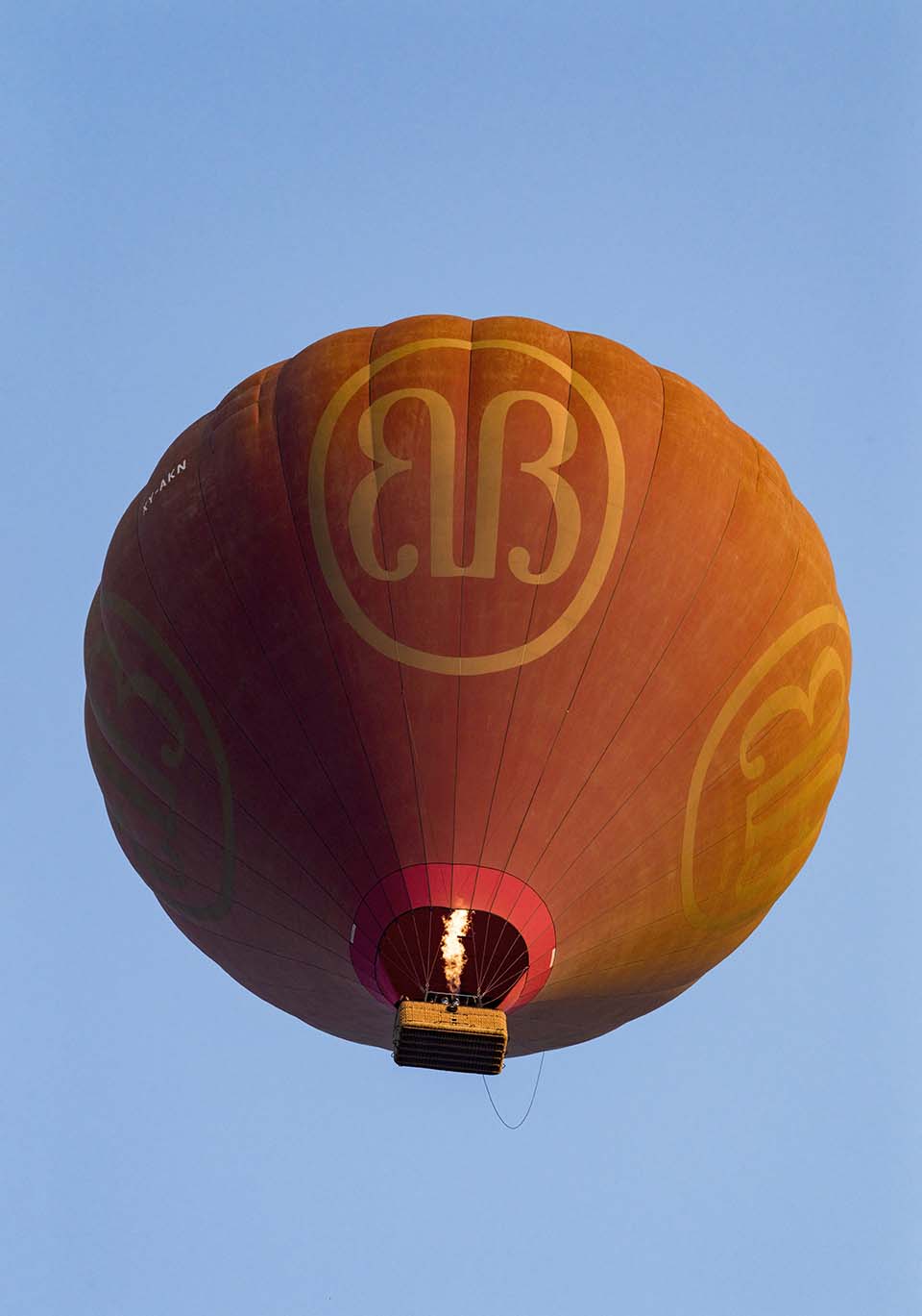 YPO_2019_05290.jpg