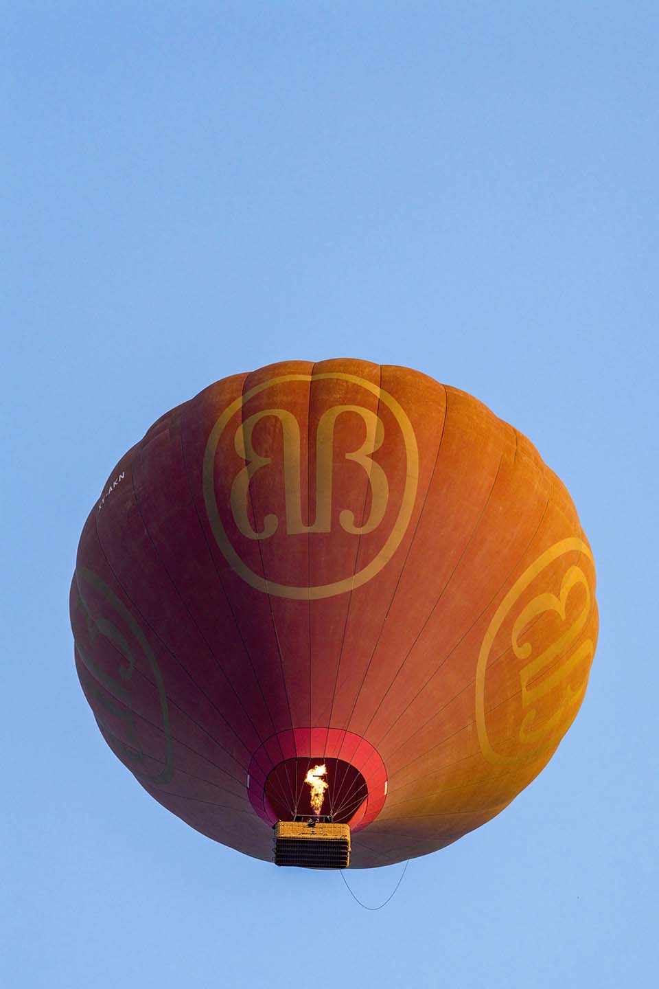 YPO_2019_05296.jpg
