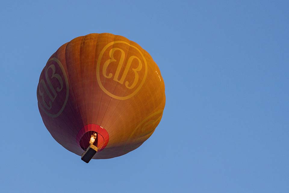 YPO_2019_05315.jpg