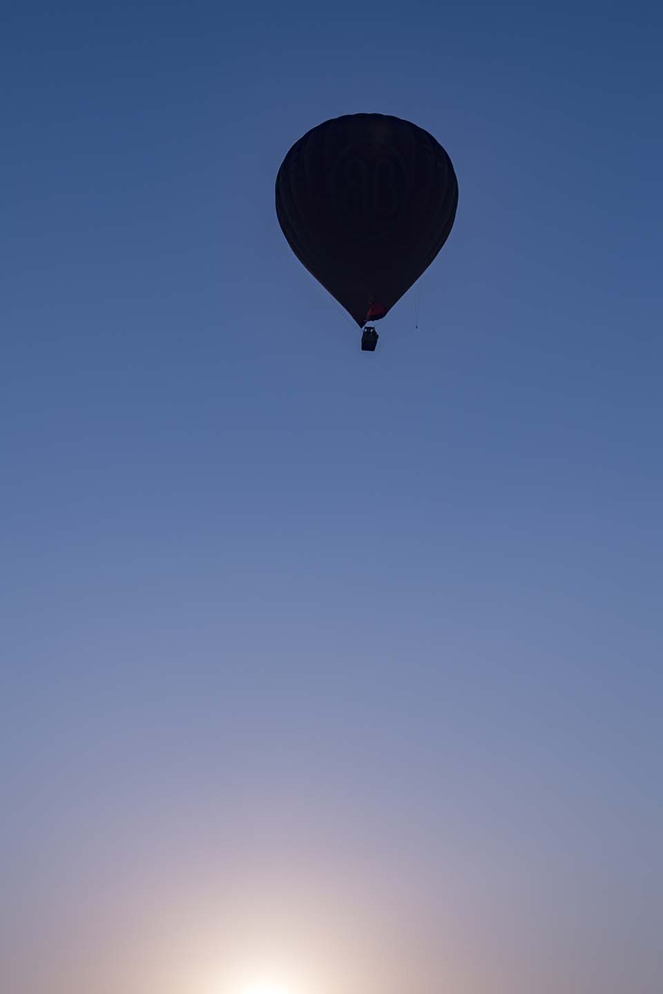 YPO_2019_05327.jpg