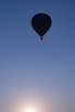 YPO_2019_05327.jpg