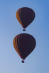 YPO_2019_05331.jpg